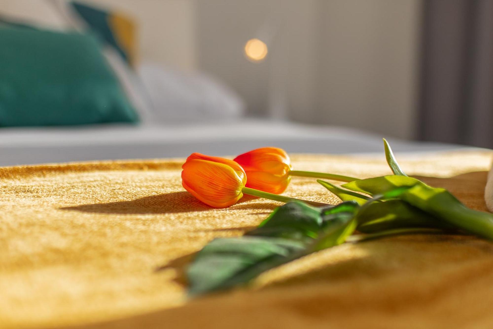 Veigas De Iria - Apartamento Turistico Vut Padrón Екстериор снимка